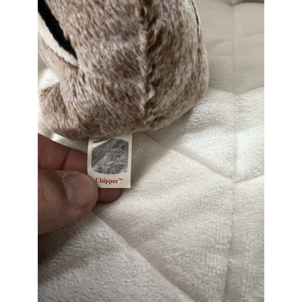 TY BEANIE BABY 1999 
